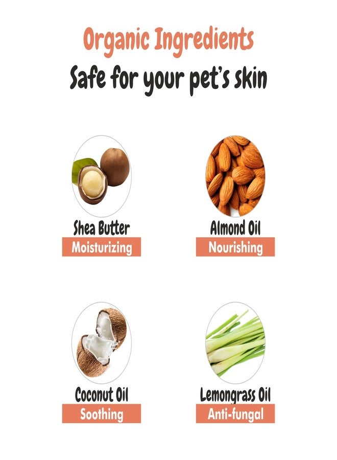 هارودز زبدة بي إس سي إل واي الطبيعية للكلاب والقطط | بلسم آمن للكلاب والقطط للتشققات وجفاف الكفوف والأنف | يعالج ويصلح ويرطب الكفوف والمرفقين والأنف الجاف والحكة (100 غرام) (عبوة واحدة) - Image 2